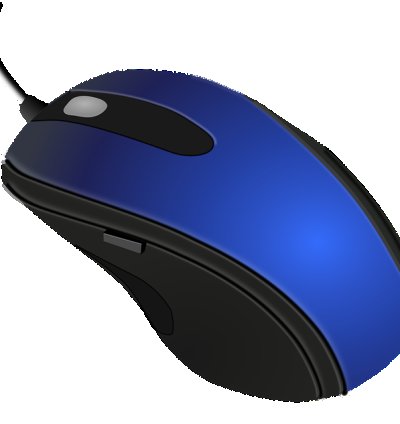 Dell Computer Mouse – Accessory for Laptops & Desktops